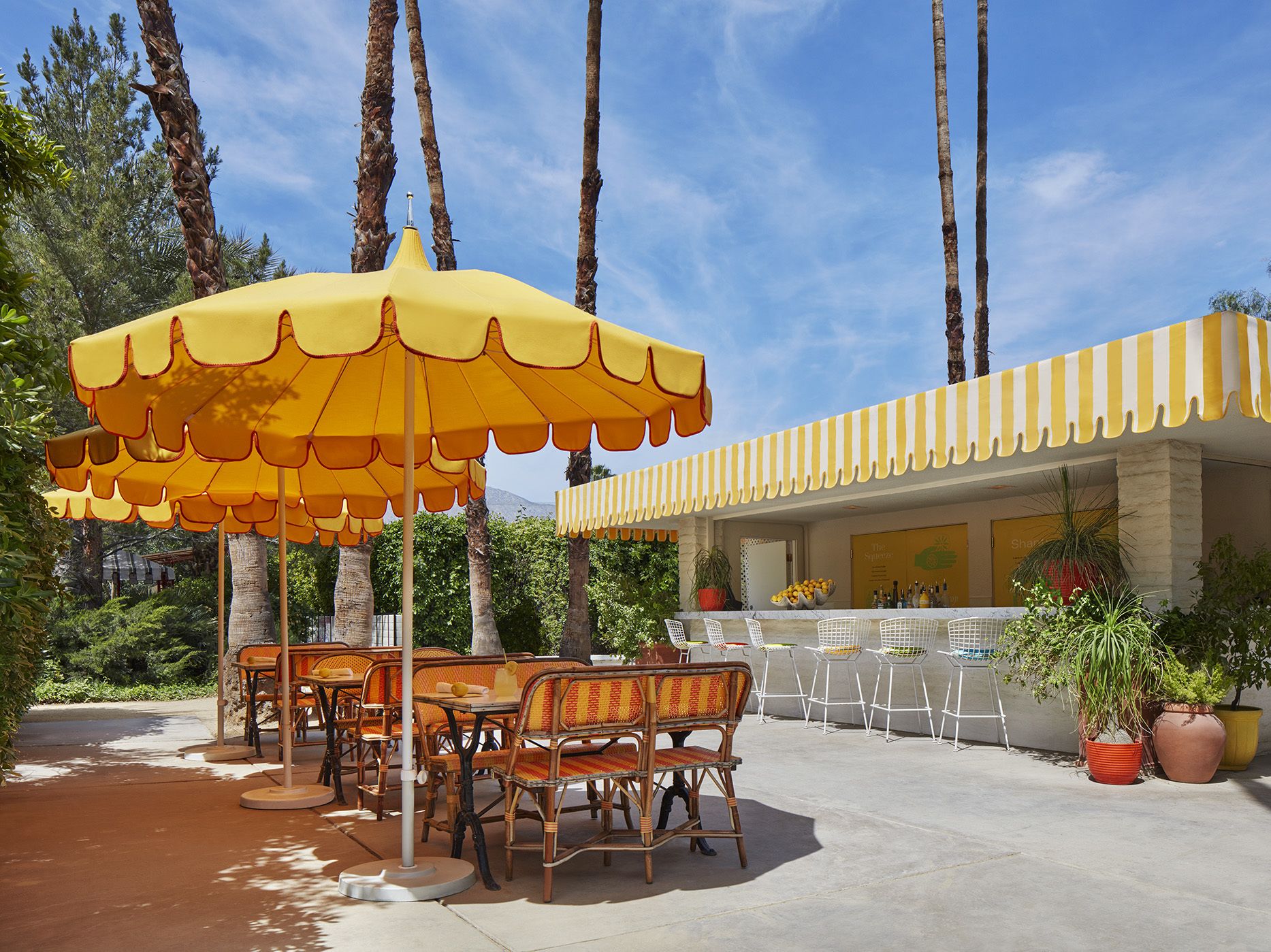 An outdoor seating area with wicker chairs and a yellow umbrella, surrounded by tall palm trees and potted plants.