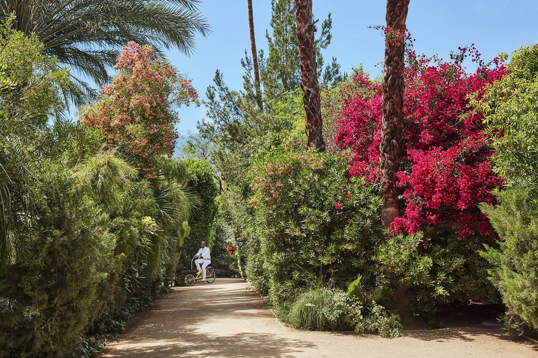 Photo - Parker Palm Springs