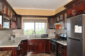 Full-size fridge, microwave, oven, stovetop