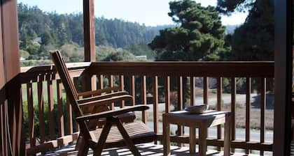 Mendocino View East