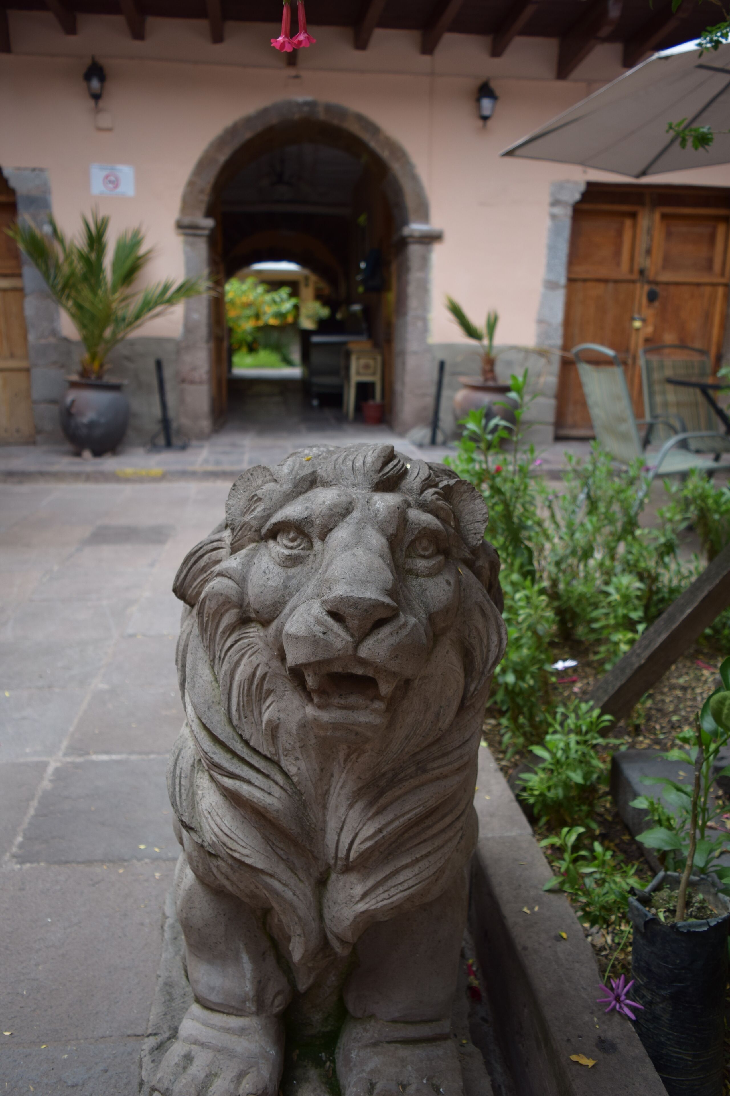 Una estatua de león de piedra en un patio, con una puerta de madera y plantas en macetas al fondo.