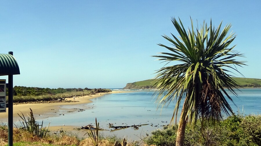 Surat Bay Lodge & Backpackers Hostel