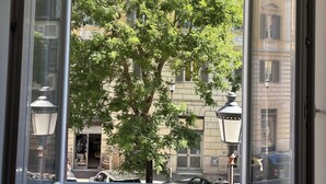 A window with a view of a tree and buildings.