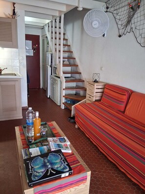 Télévision, lecteur de DVD, livres, vidéothèque