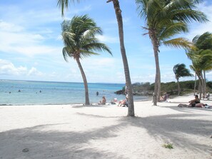 Una playa con palmeras, agua azul cristalina y gente relajándose en la arena.