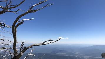 A clear view of a mountainous landscape with a prominent dead tree branch in the foreground.