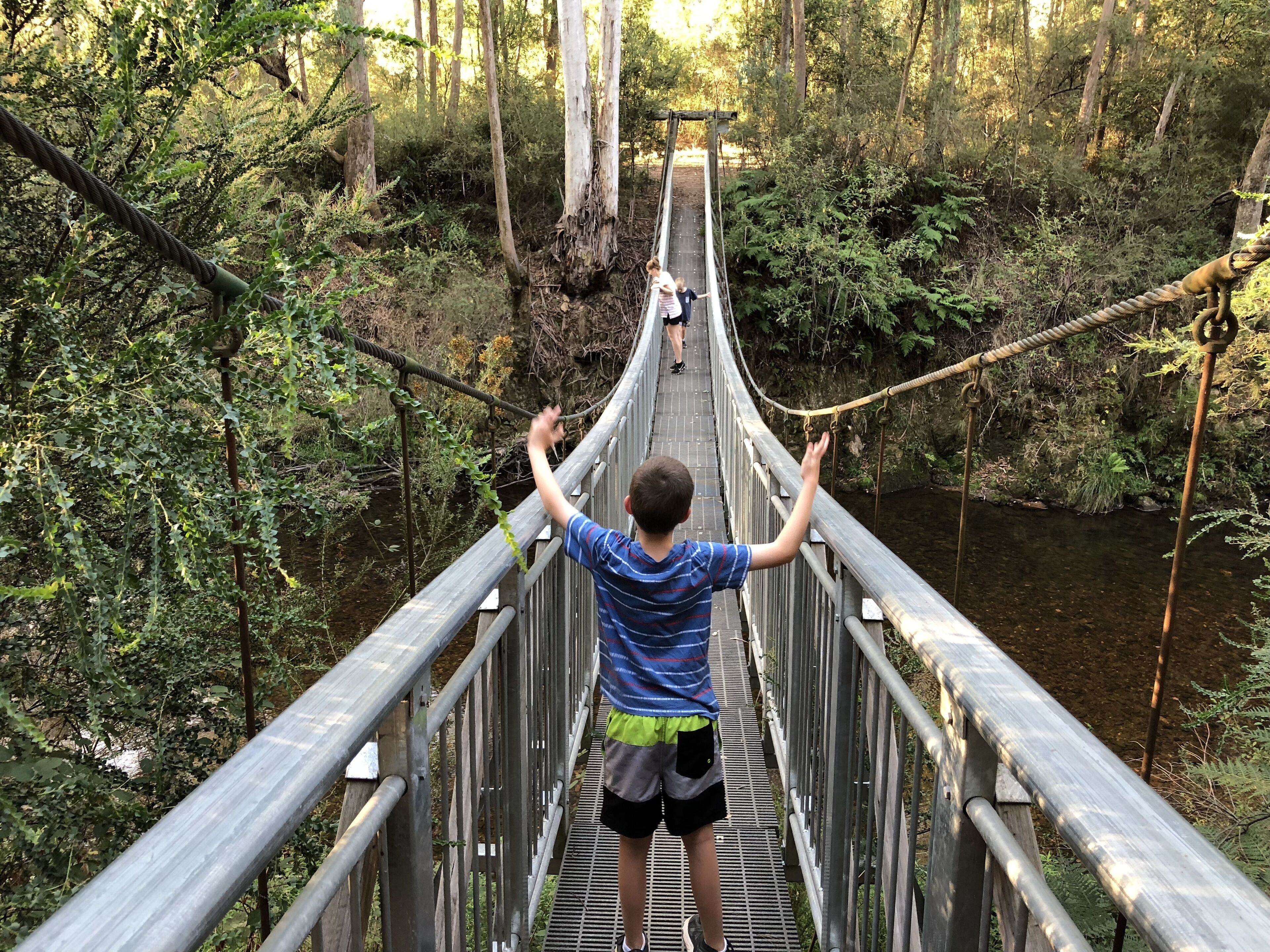 A suspension bridge in a forested area with metal railings and a metal walkway.