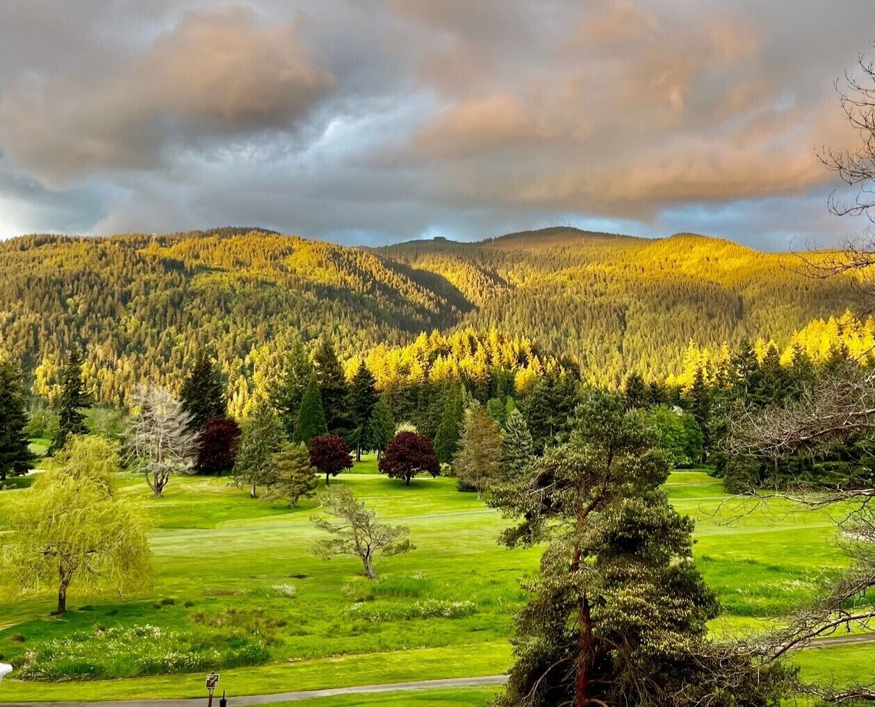 The most desirable rental home, and view inside the Sudden Valley community. 