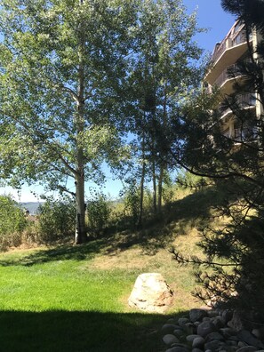 Overnattingsstedets uteområder