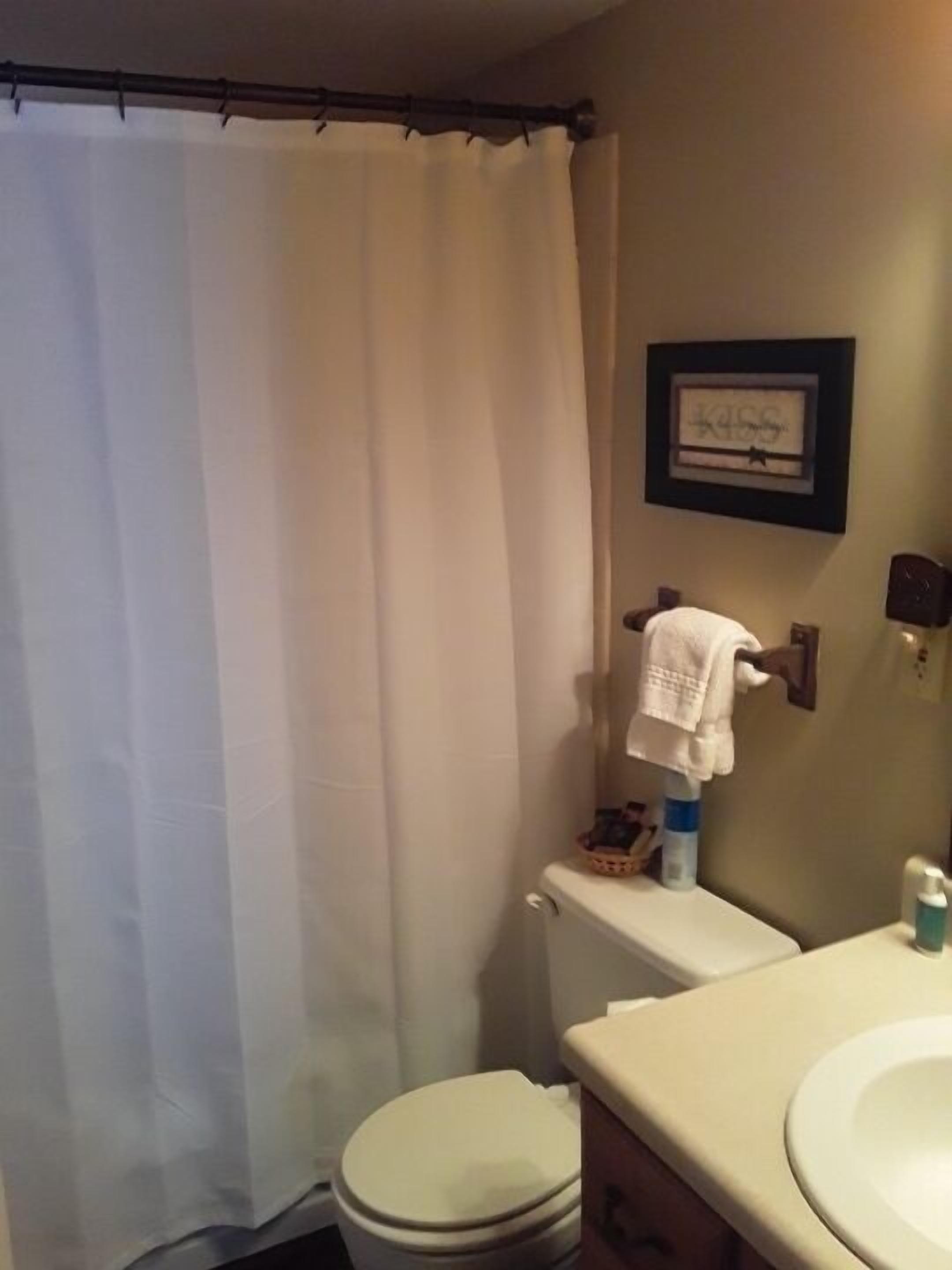 Een badkamer met toilet, wastafel, douchegordijn en een ingelijst beeld aan de muur.