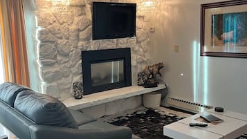 Flat-screen TV, fireplace, DVD player, books