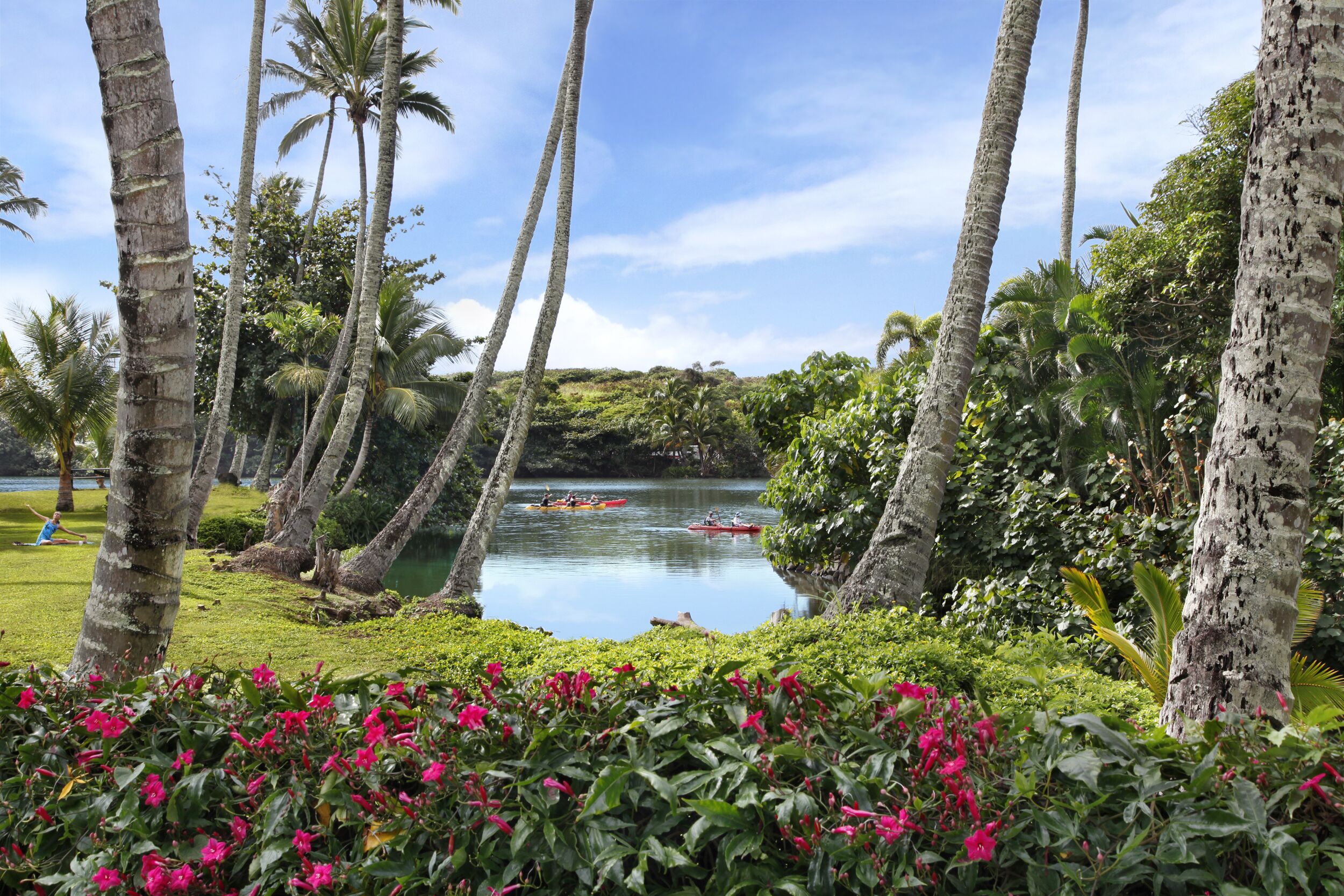 A tropical garden with palm trees and a calm lake.