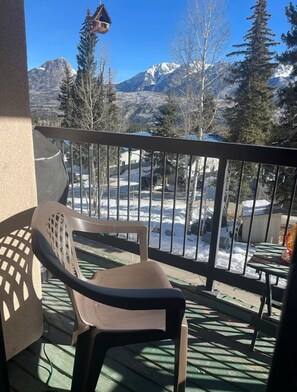 Property grounds - Ski In-Out  short walk to lift Enjoy The Mountain Views From Your Own Balcony! (Durango)