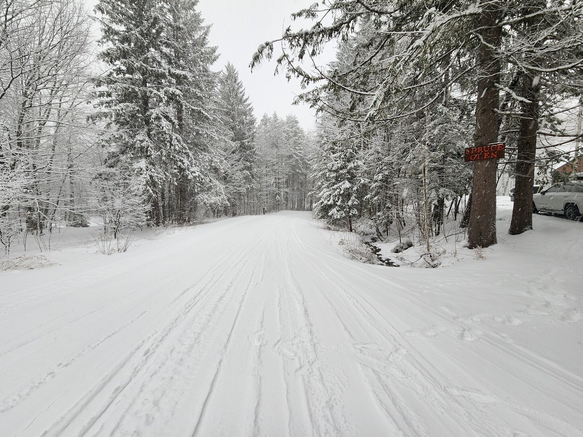 Une route enneigée, bordée d’arbres, avec un panneau indiquant « SPRUCE GLEN ».