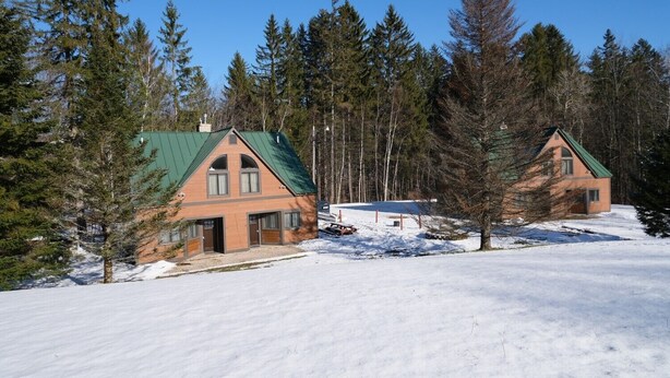 Una cabaña con techo verde, rodeada de nieve y altos pinos.