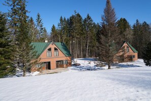 A cabin with a green roof, surrounded by snow and tall pine trees.