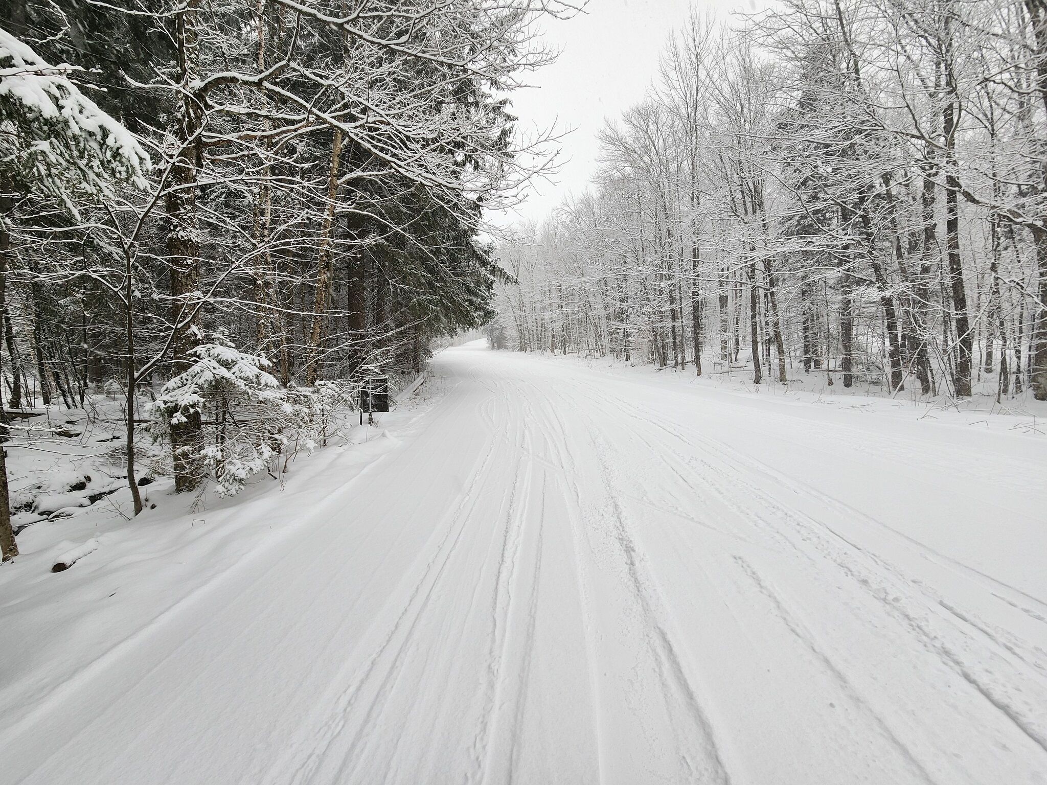 Eine schneebedeckte Straße, gesäumt von Bäumen.