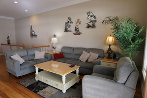 TV, DVD player, books, video library