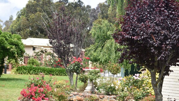 Un jardín con diversas plantas y un sendero de piedra.