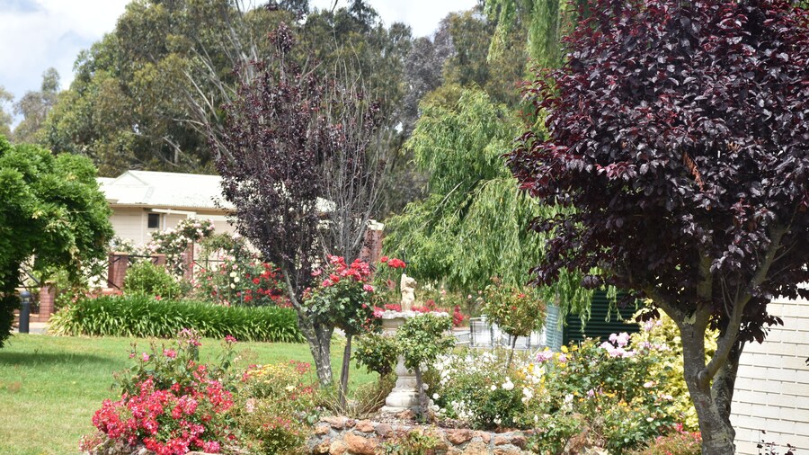 Valley Views Motel & Chalets