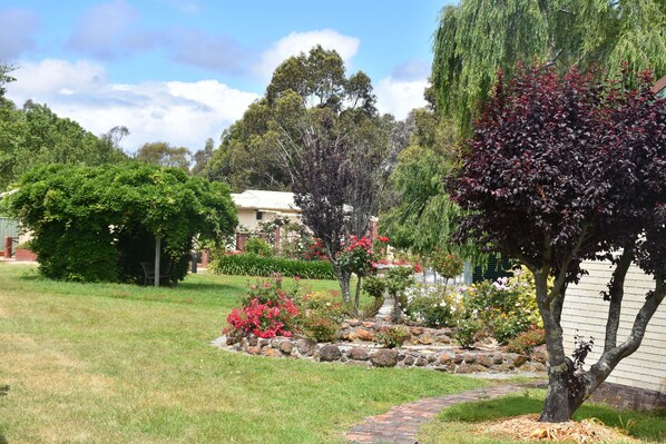 A well-maintained garden with a variety of trees and shrubs, a stone pathway, and a brick border.