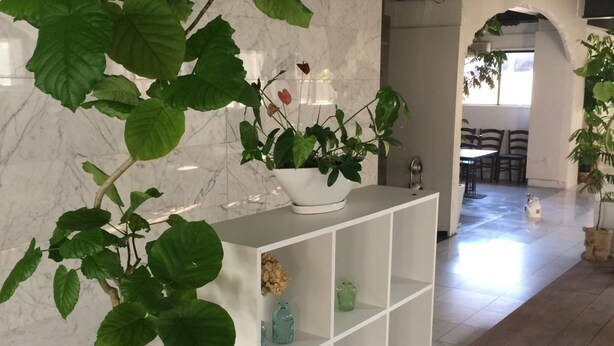 A modern interior with a white shelving unit, a potted plant, and a marble wall. - Kagoshima Guest House M104 - Hostel (Kagoshima)