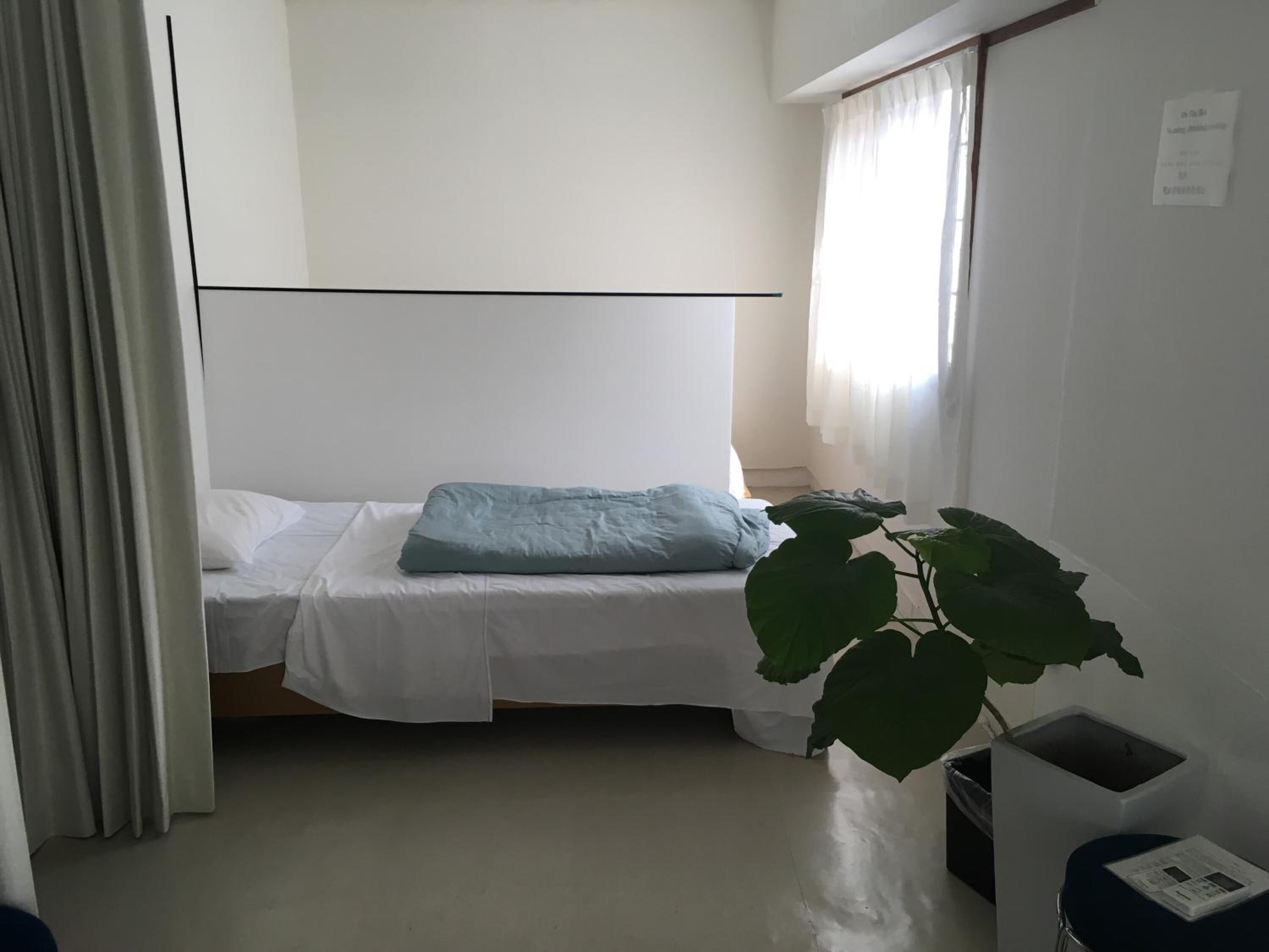 A small, clean room with a single bed, a large window with sheer curtains, and a potted plant.