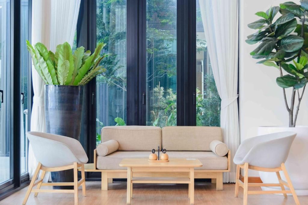 A modern living room with a sofa, two chairs, a coffee table, and a large potted plant.