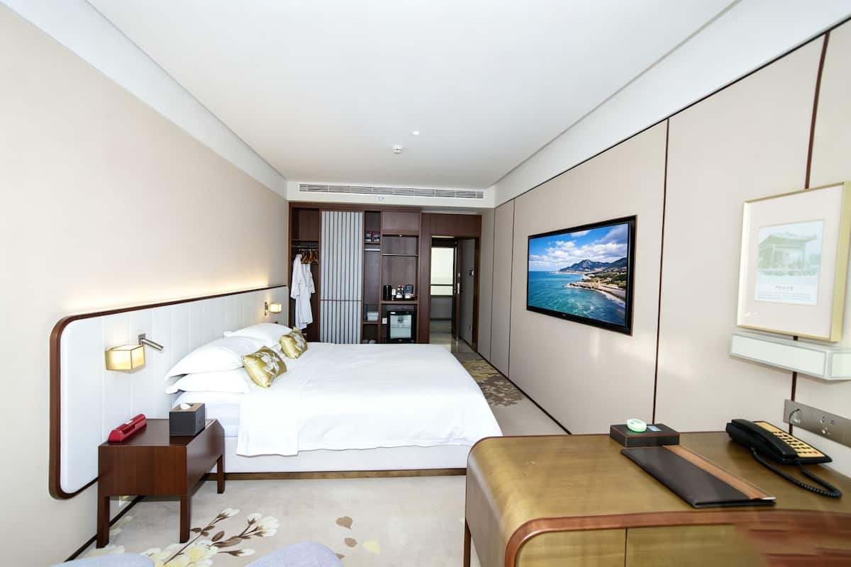 Deluxe Double Room | Minibar, in-room safe, blackout drapes, iron/ironing board