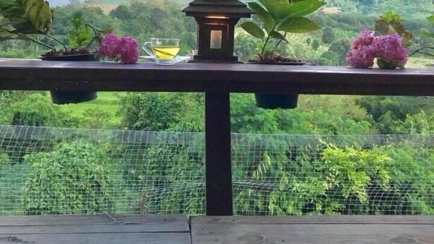 Un balcón con un farol tradicional, plantas en macetas y vistas de un paisaje verde exuberante.