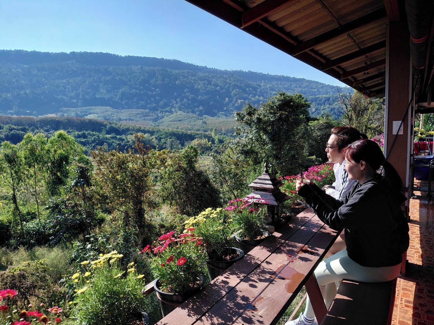 A table with potted plants and flowers, overlooking a mountainous landscape.