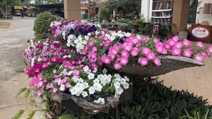 Una exhibición de flores frente a un edificio con un letrero que dice 'Niso'.