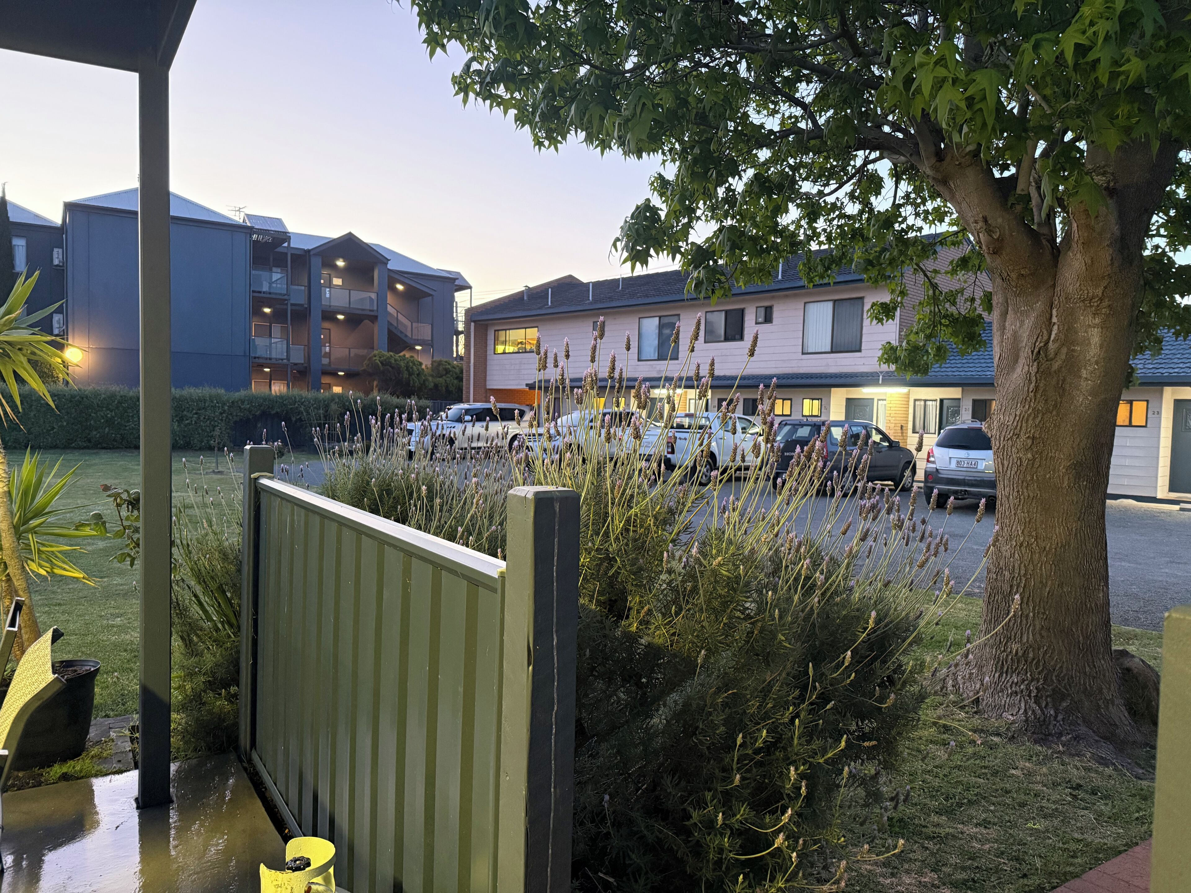 A residential area with multiple apartment buildings, a parking lot, and a tree.