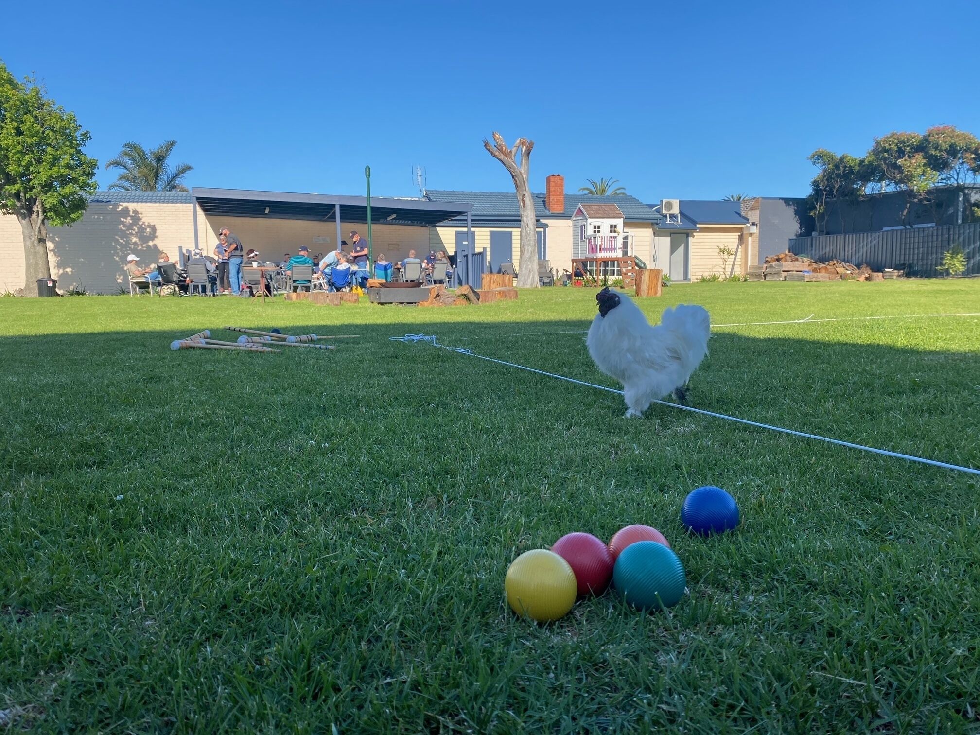 A backyard with a dog on a leash, colorful balls, and people sitting at tables.