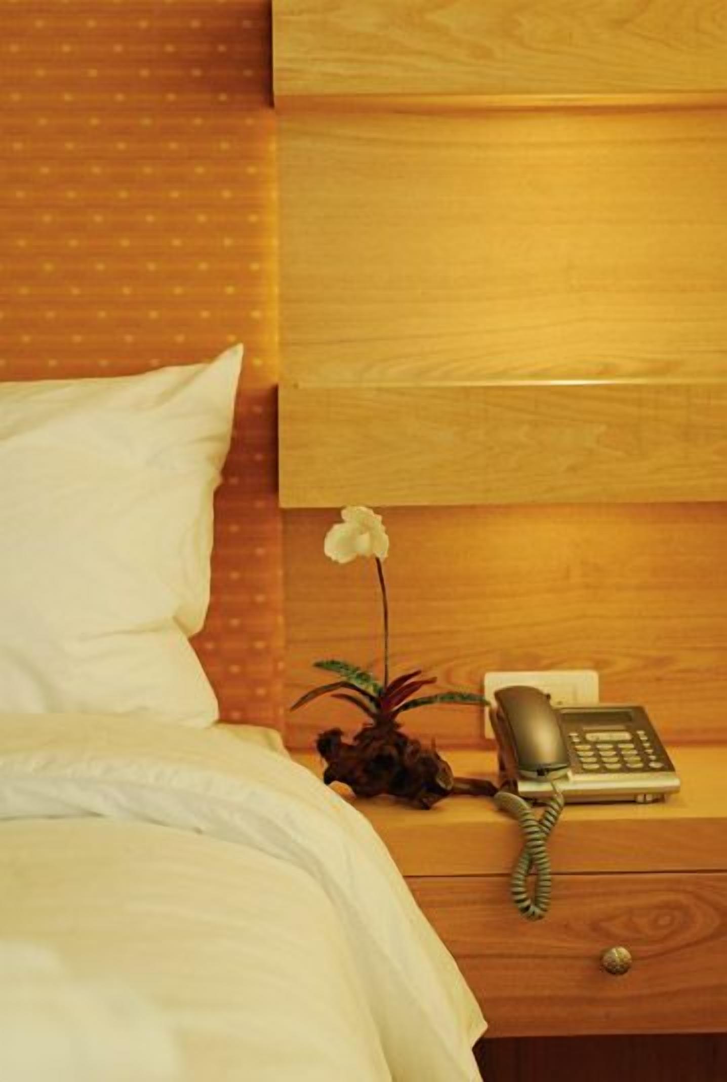 A hotel room with a bed, a nightstand with a telephone, and a small plant.
