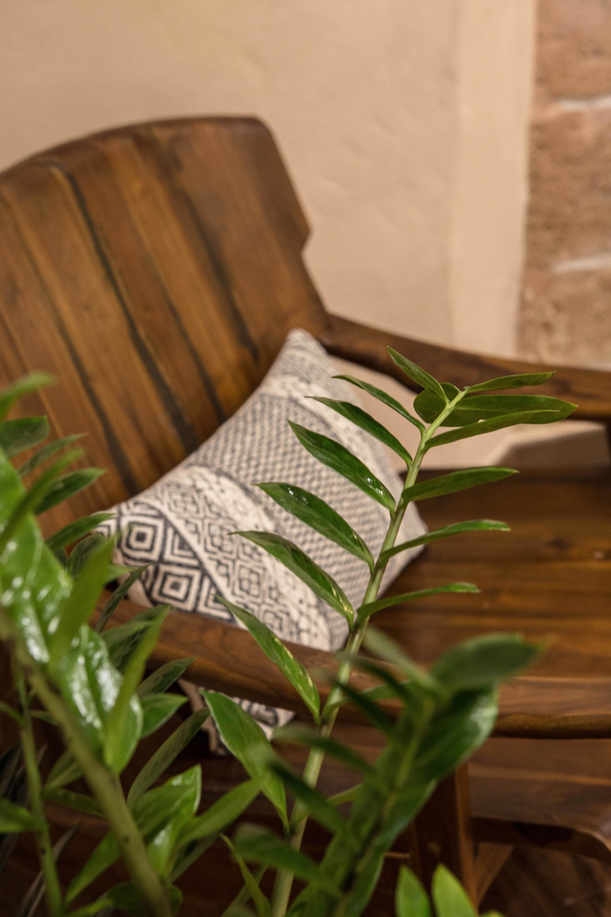 Una silla de madera con un cojín estampado.