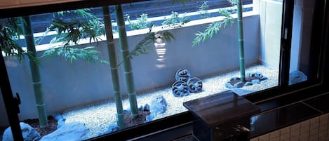 Un acuario grande con plantas de bambú y rocas decorativas.