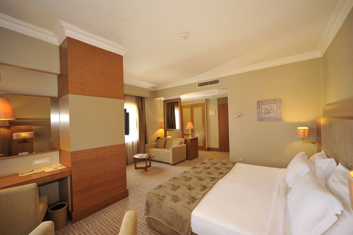 A hotel room with a bed, a desk, a chair, a small table, and a sofa.
