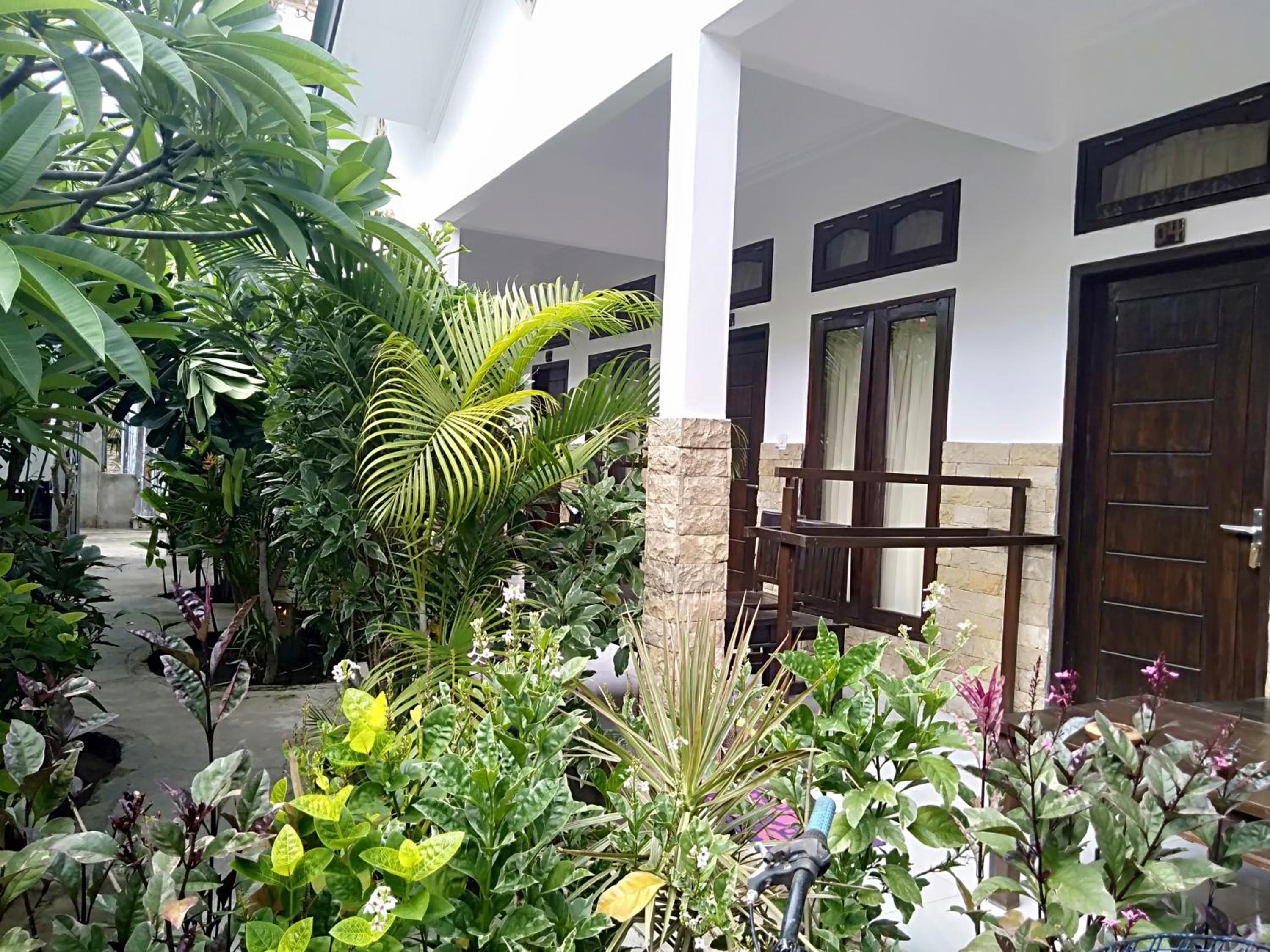 A courtyard with various plants and a wooden bench.