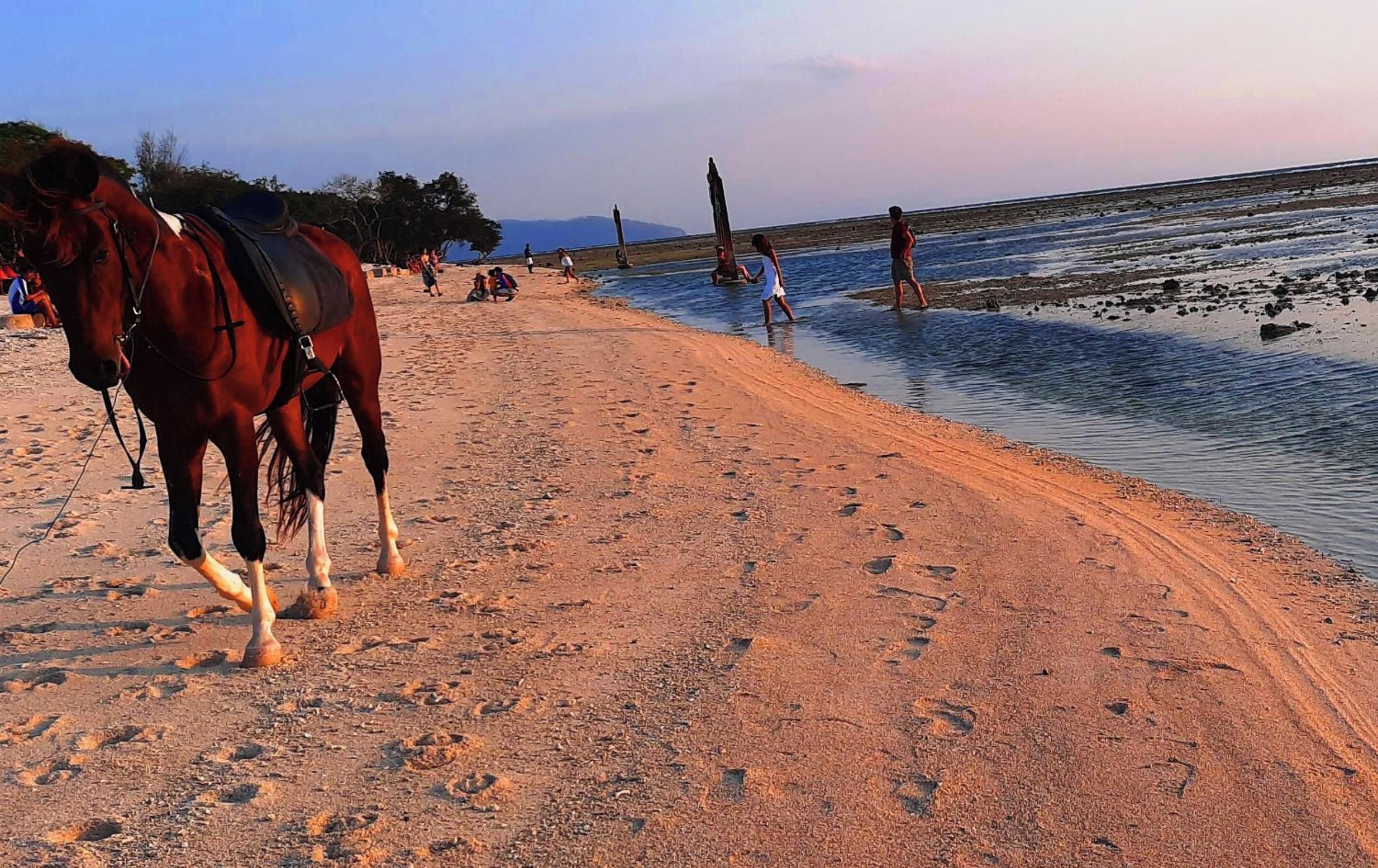 Pantai