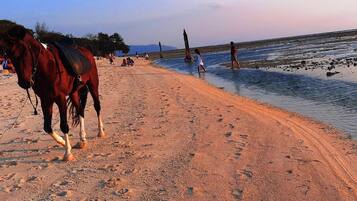 Pantai