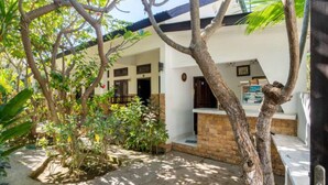 A courtyard with a white building, a tree, and various plants. - Padanta Homestay (Gili Trawangan)