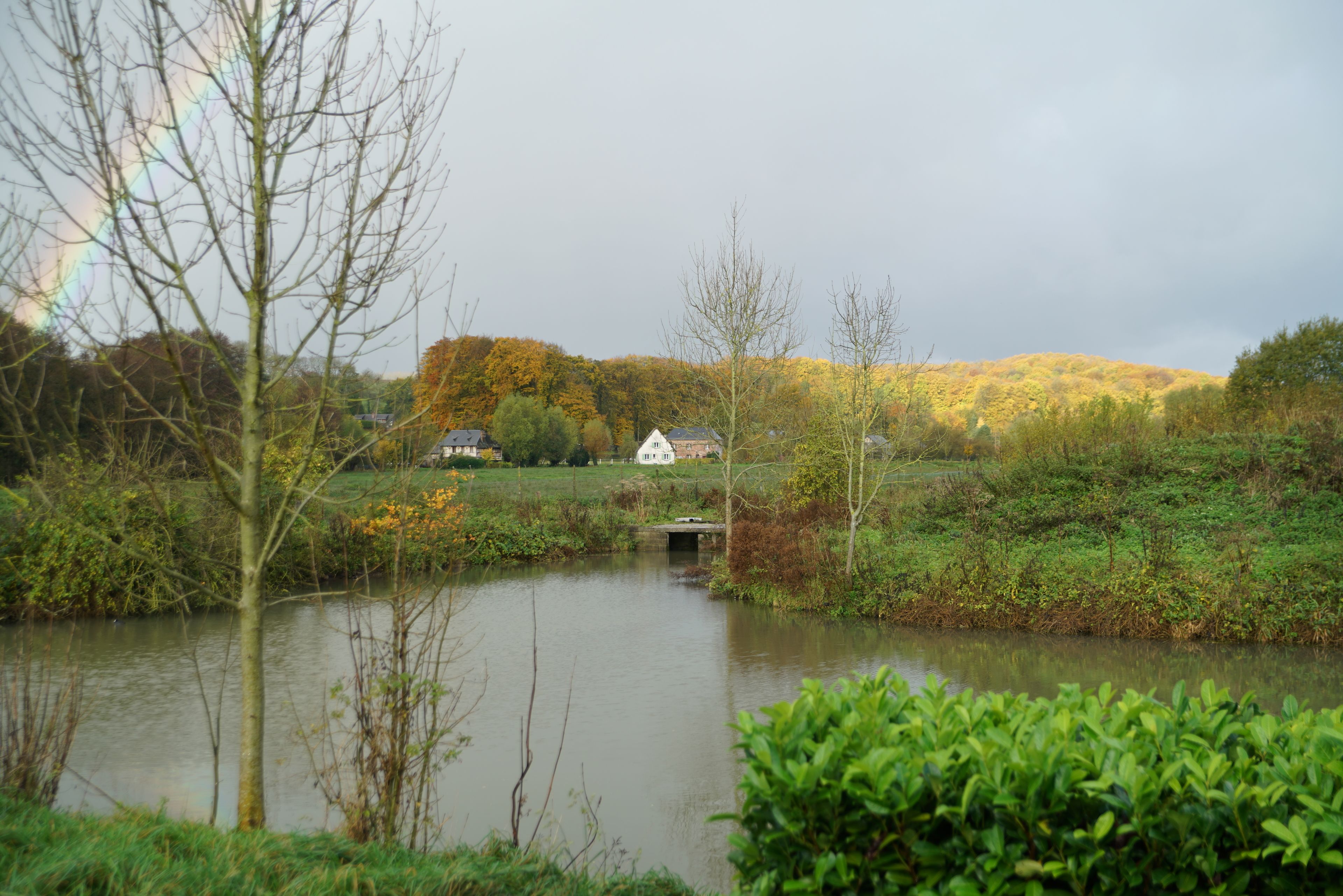 Une scène paisible au bord de la rivière, avec un pont, une végétation luxuriante et une maison en arrière-plan.