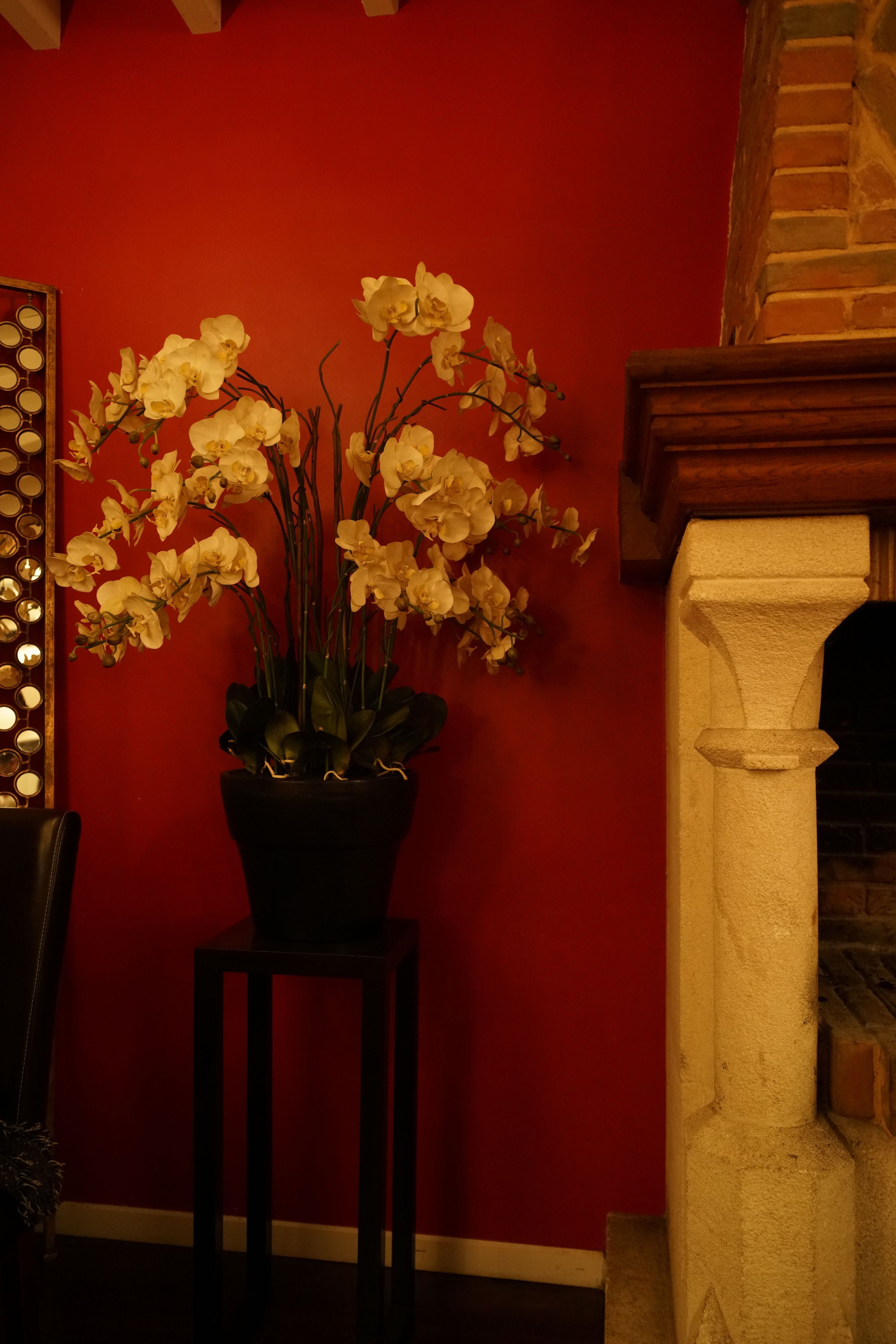 Una planta de orquídea en maceta sobre un taburete, frente a una pared roja, con una chimenea y un espejo de marcos circulares al fondo.