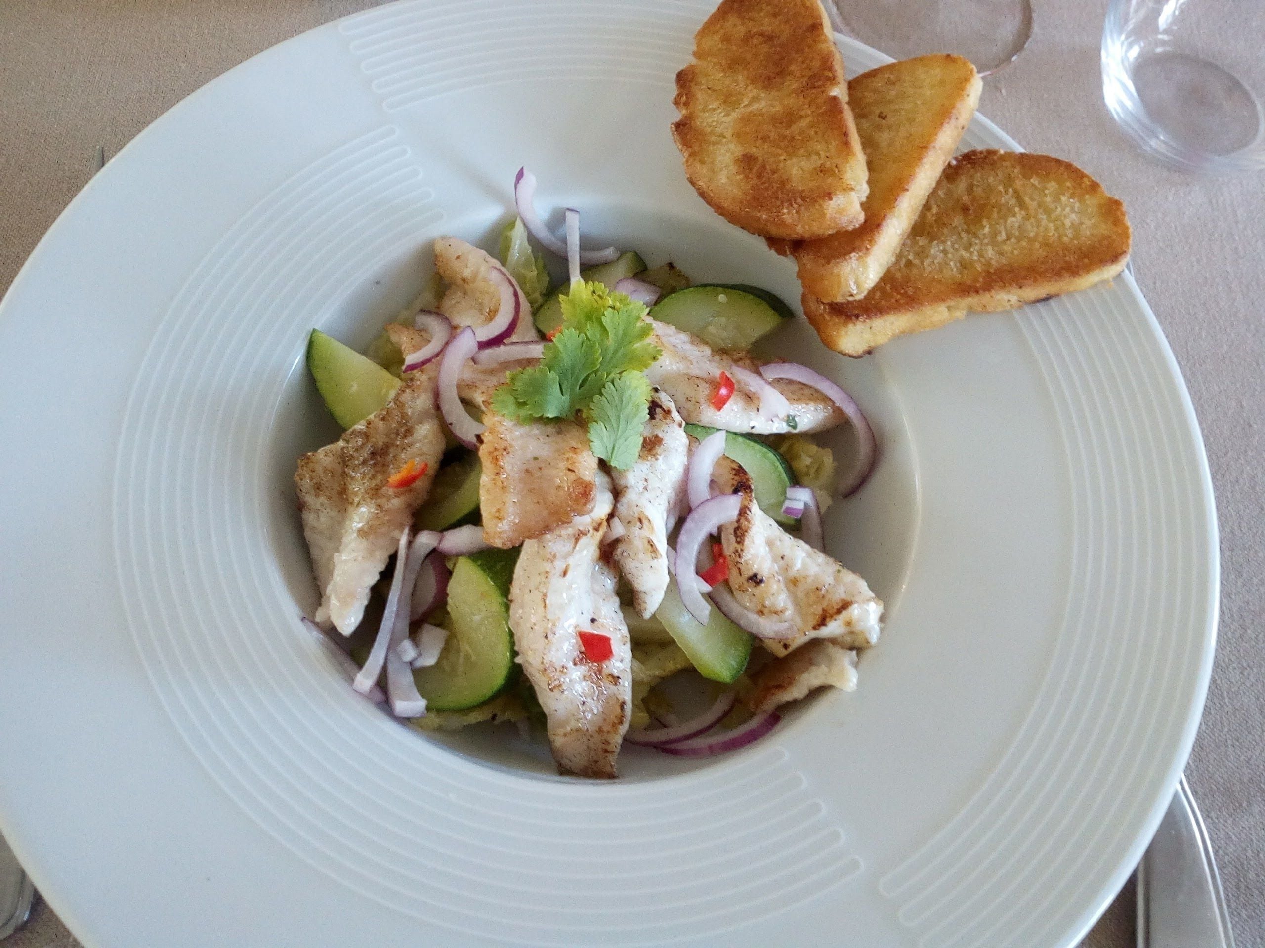 A plate of grilled chicken salad with cucumber, red onion, and cilantro, accompanied by toasted bread.