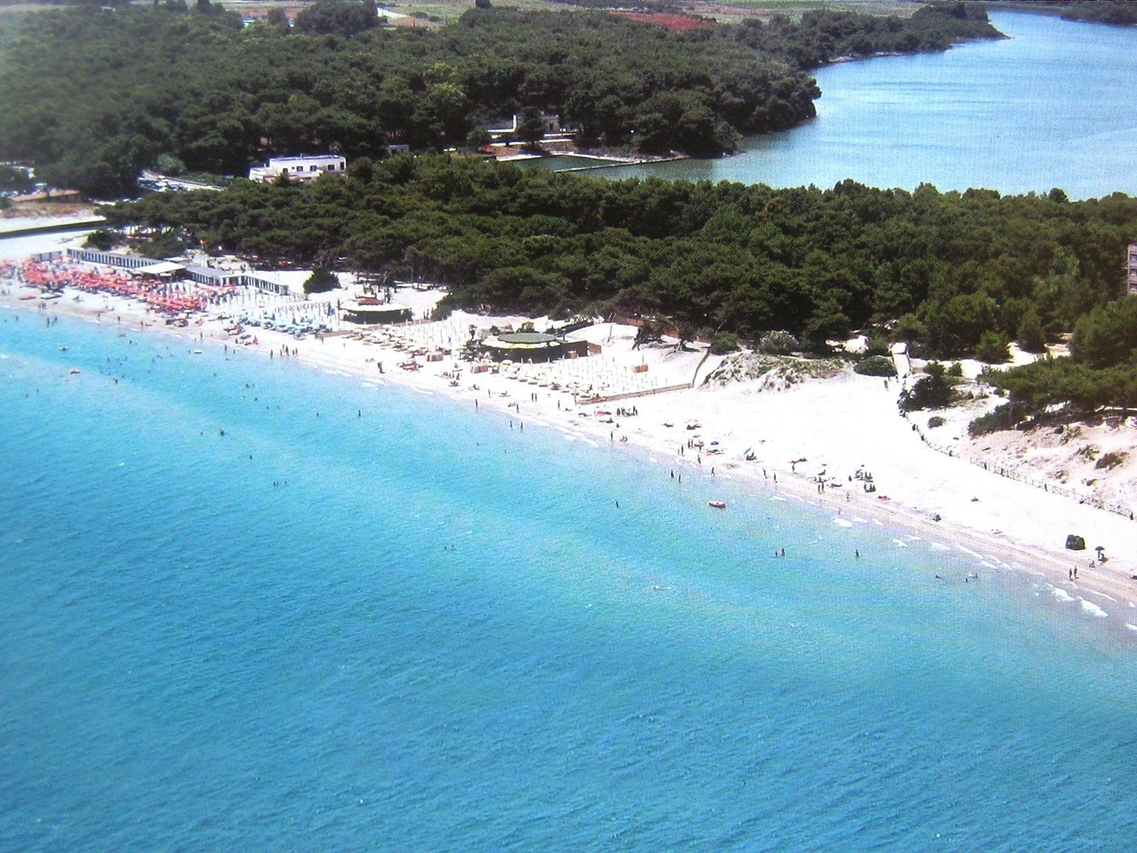 An aerial view of a beach with a white sandy shore, clear blue water, and dense green trees in the background.