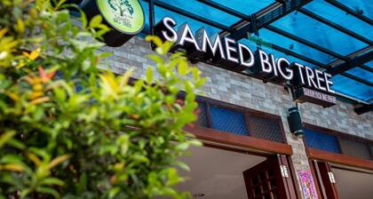 Samed Big Tree