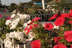 Jardim