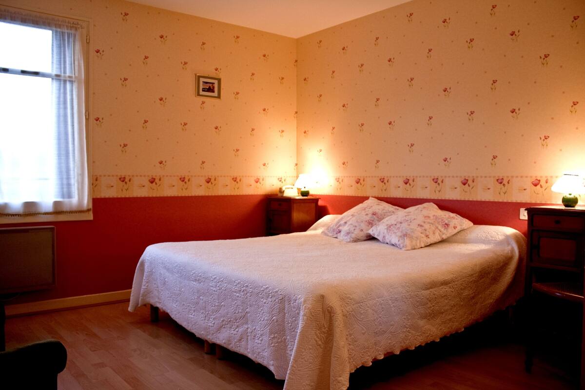 Standard Double Room | Desk, free WiFi