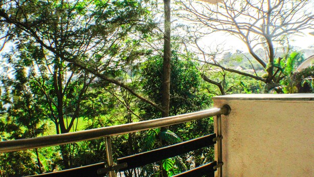 Un balcón con barandilla de metal que da a un jardín exuberante, con varios árboles y plantas.